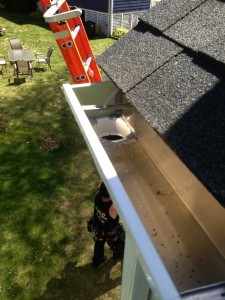 Hidden Roof Straps Close-Up 2