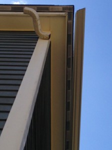 The roof edge and the 5" gutter that was mounted directly on the fascia.