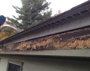 Fascia Damage Under Old Gutters