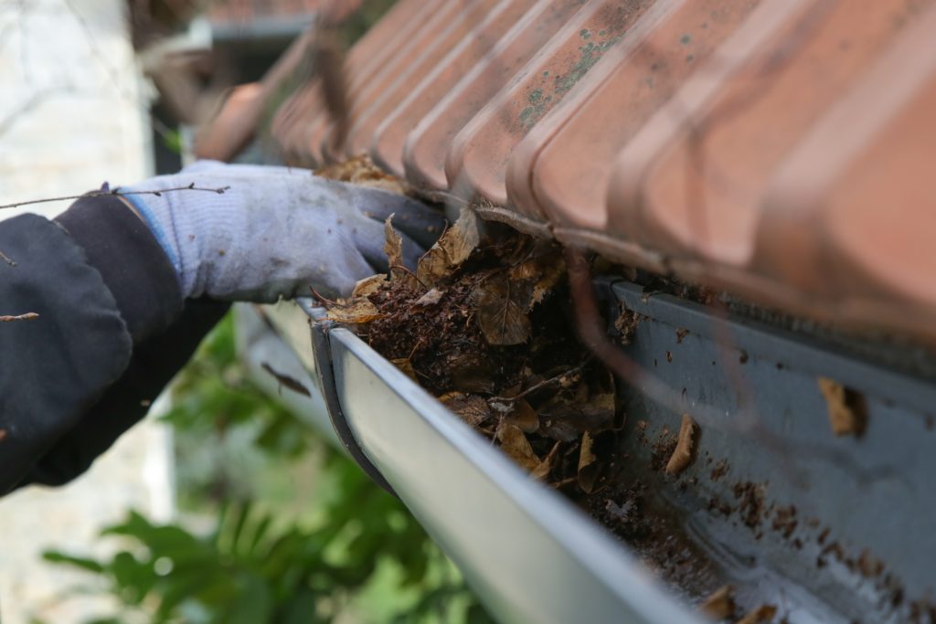 Worker removing leaves and debris from a clogged residential rain gutter during gutter cleaning.
